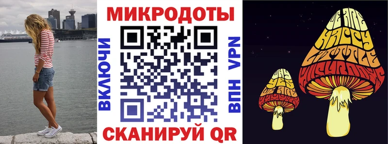 Псилоцибиновые грибы прущие грибы Питкяранта